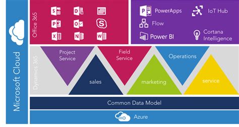microsoft dynamics 365|Overview of Dynamics 365 apps and resources .